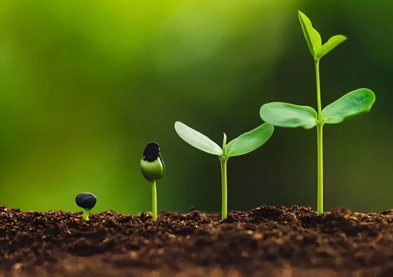 How to Choose the Right Soil for Your Garden - Ubanty