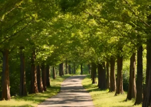 tree-care-essentials-guide-proper-watering-mulching-and-pruning-techniques